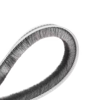 CLJ impermeabile impermeabile al vento Impermeabile alla polvere Buona stabilità Ambientale Striscia climatica per appartamenti Pile altezza 3-25mm / larghezza 3-50mm