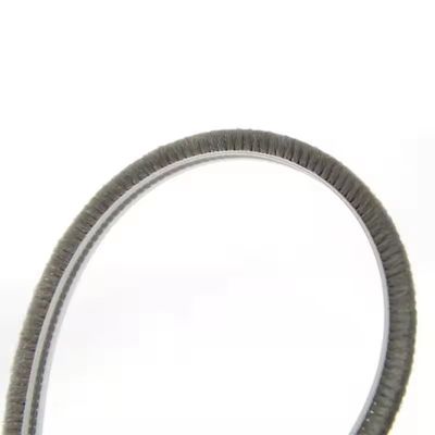 Pile di lana autoadesivo Strip meteo per finestre Stile di design moderno Pile altezza 3-25mm/larghezza 3-50mm
